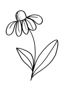 Ausmalbild Gänseblümchen