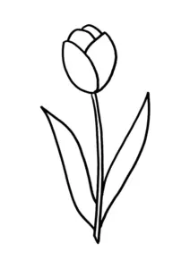 Ausmalbild Tulpe